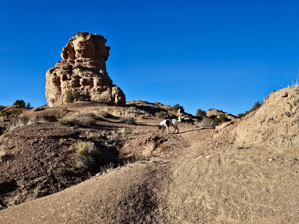 A black and white dog walks a dirt trail below a tall sandstone formation of stacked, weathered layers, under a deep blue cloudless sky.