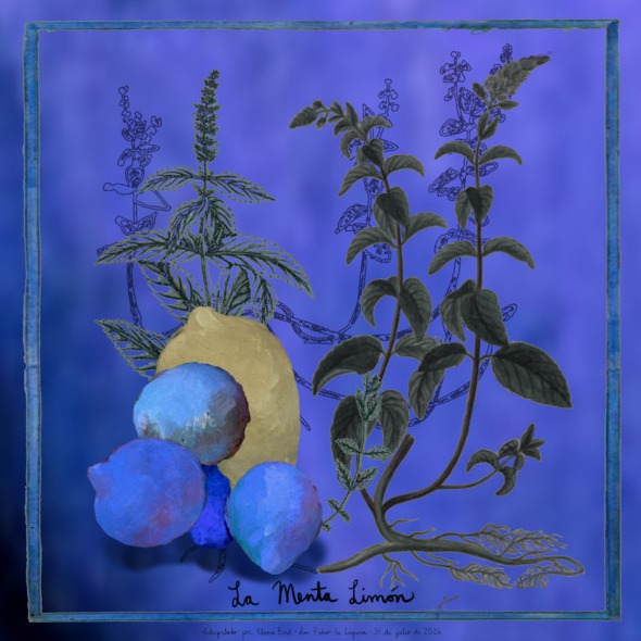 Cover art for La Menta Limón